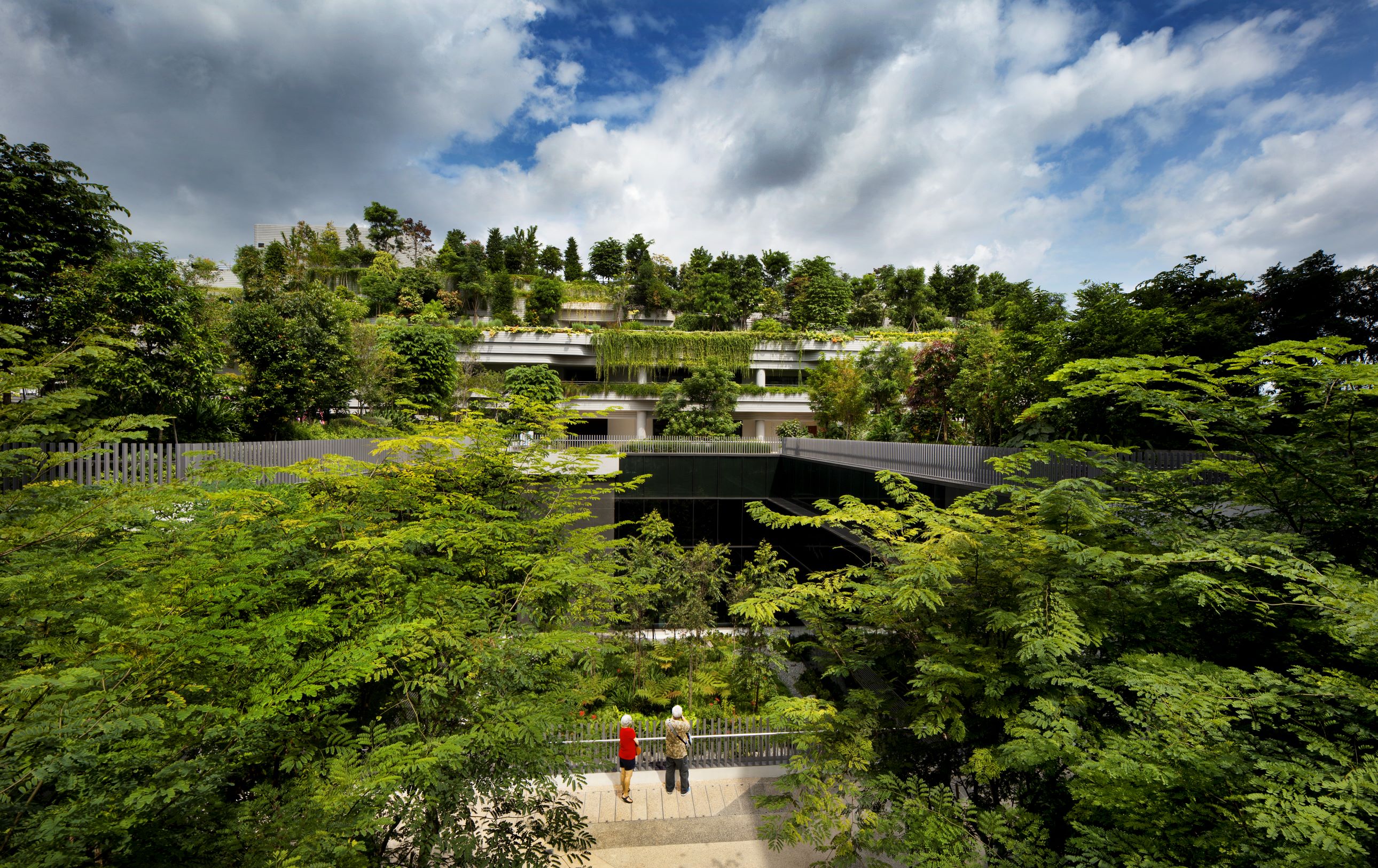 屋頂上的熱帶叢林公園為年老住戶提供了就近散步休閒的去處。( Photo by Patrick Bingham-Hall )