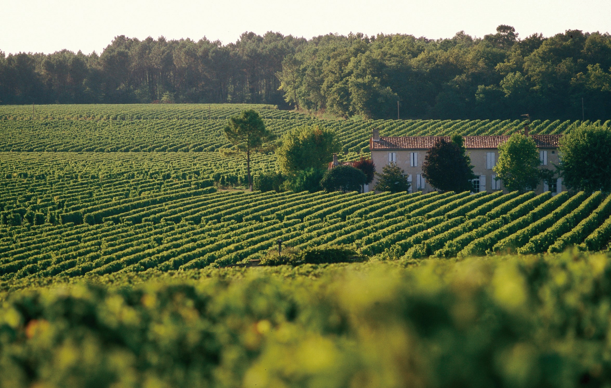 BORDEAUX WINE CRAFTS 波爾多葡萄酒傳統與創新的激盪