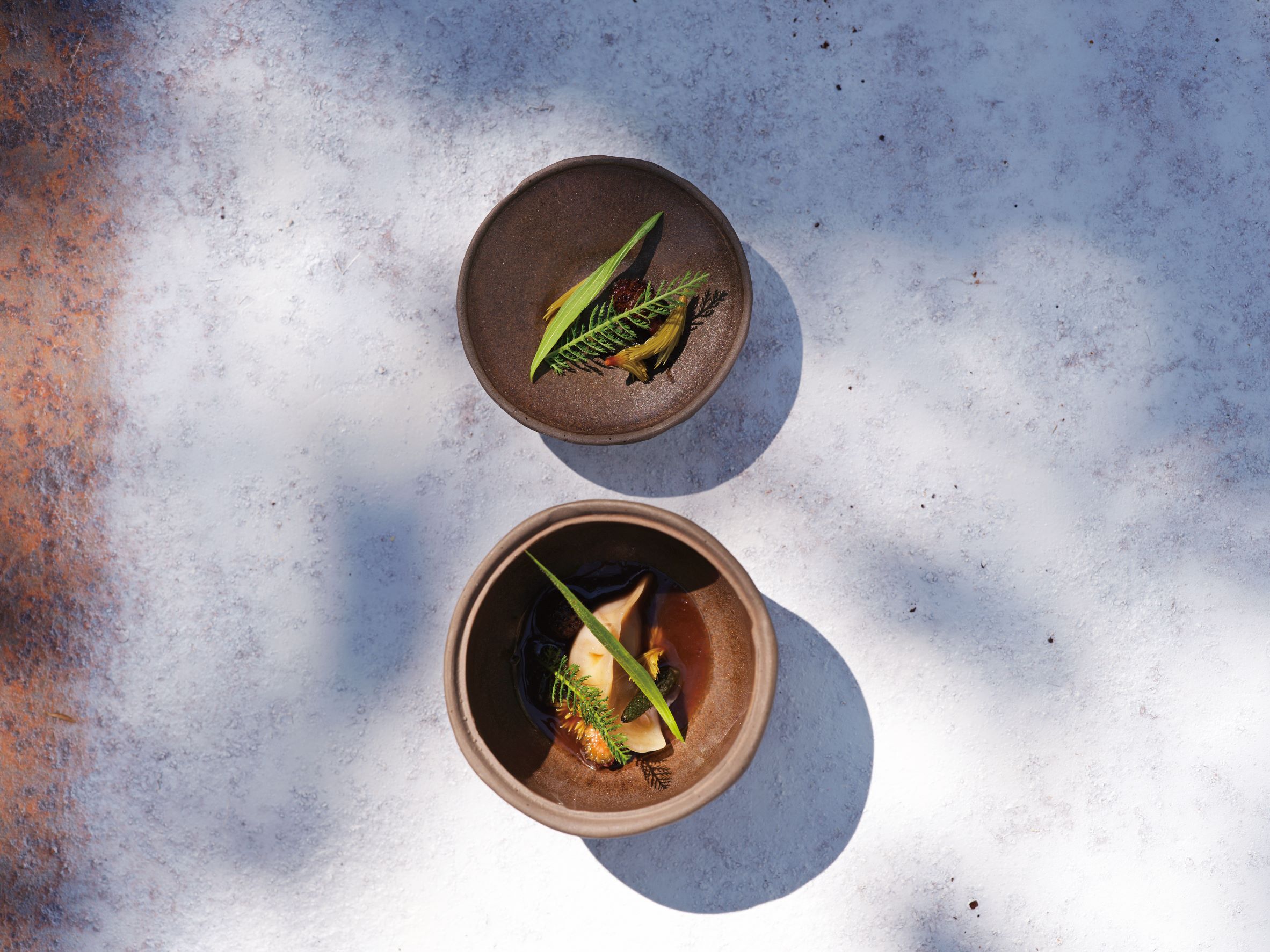 充滿在地風土滋味的熊掌栗子餃子，配上 Hiša Franko 獨家的森林系清湯。