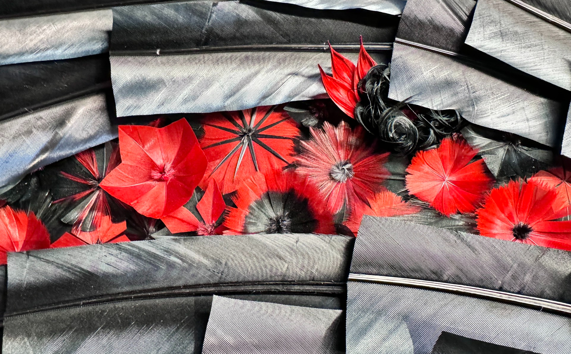 Vermeulen 偏愛黑色羽毛，因為黑羽帶有金屬質感，能使讓作品更為鮮活。這幅《 Diptyque Nocturne 》使用純粹的黑襯托紅， 讓他能更精確雕琢羽毛，並專注研究如何複製各種圖形效果。© Julien Vermeulen