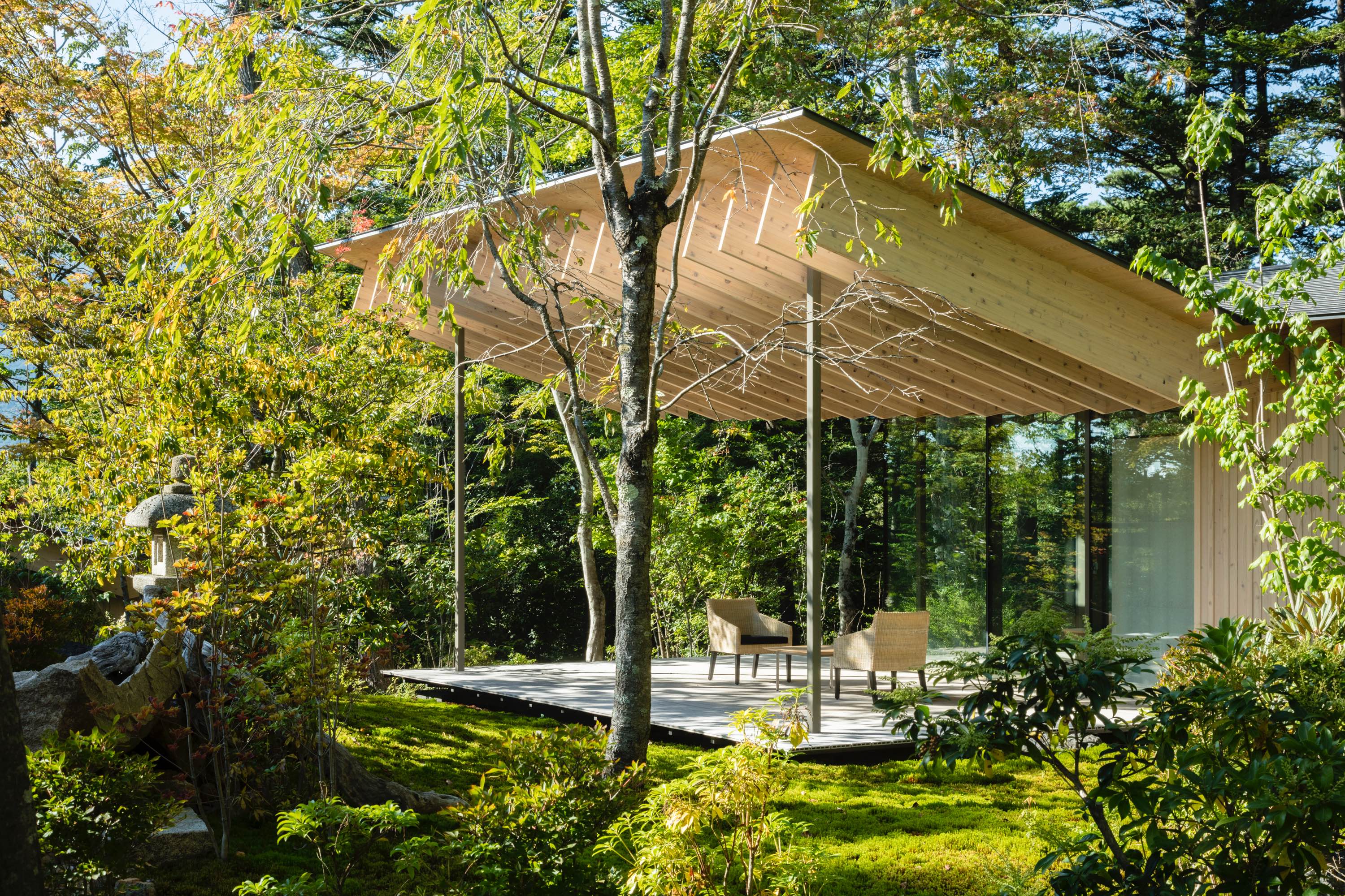 Roof/ Birds 與野鳥共棲、在林間飛翔