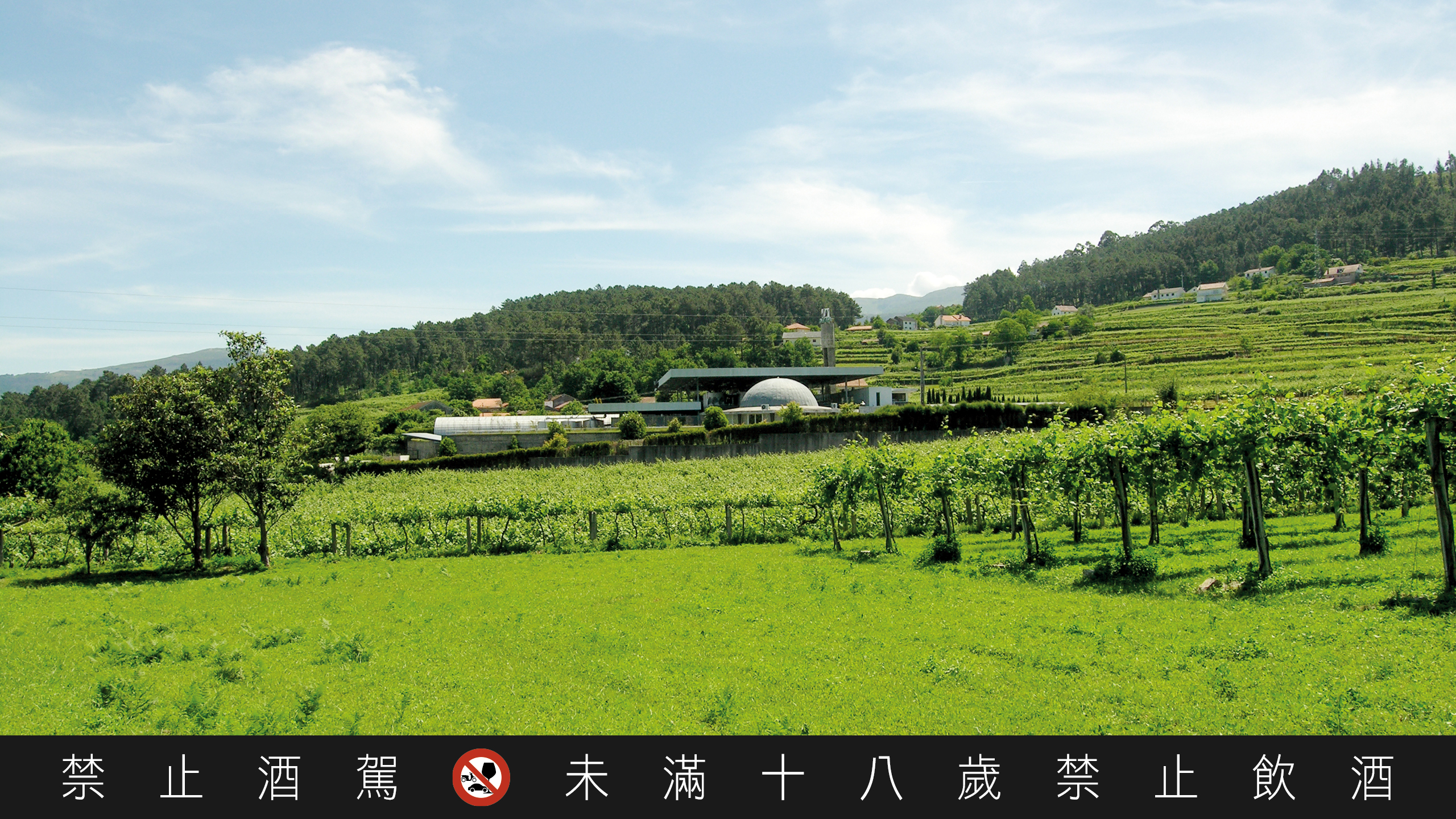 Melgaço 地區地貌豐富，造就多變的微型氣候。